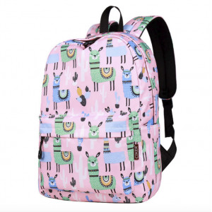 Школьный рюкзак для девочки 5-11 класс 0126